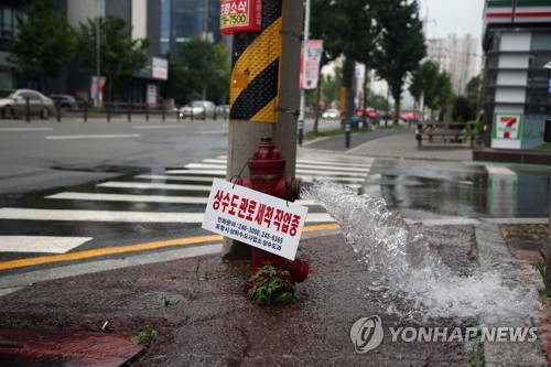 포항 소화전서 콸콸 쏟아진 물…수돗물 수질 개선 위해 관 세척