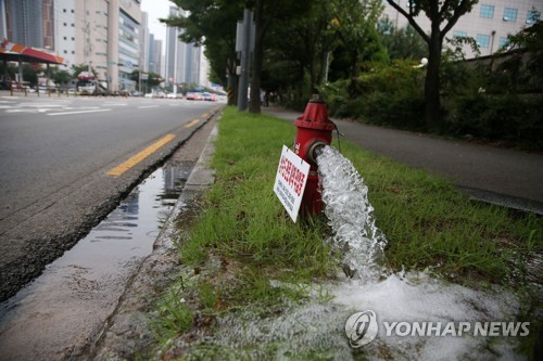 포항 소화전서 콸콸 쏟아진 물…수돗물 수질 개선 위해 관 세척