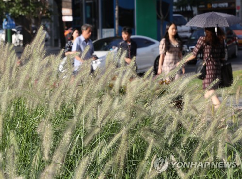 [날씨] 충남 서해안·전북 소나기…미세먼지 '좋음'∼'보통'