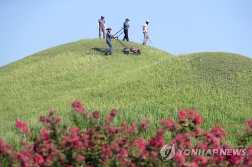 "임금님 시원하시죠"…경주 왕릉·고분 벌초 시작