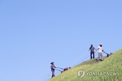 "임금님 시원하시죠"…경주 왕릉·고분 벌초 시작