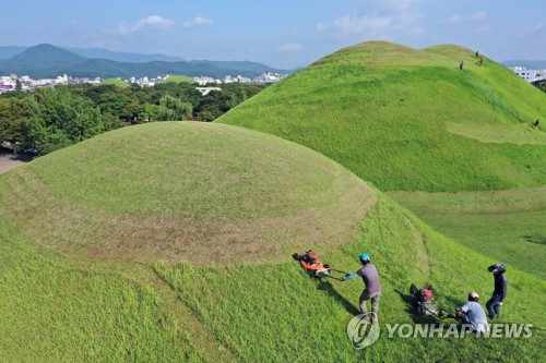 "임금님 시원하시죠"…경주 왕릉·고분 벌초 시작