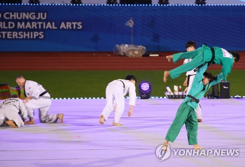 '지구촌 무술 축제' 충주 세계무예마스터십 '팡파르'(종합)