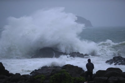 제9호 태풍 레끼마 영향권…제주도 앞바다에 '풍랑경보'로 격상