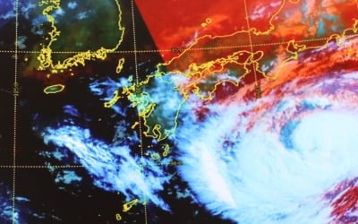 8호 태풍 프란시스코, 한반도 관통 예상 '폭염은 절정'