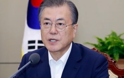 문 대통령 "평화경제에 한반도 사활 걸려…불신의 역사 청산해야"