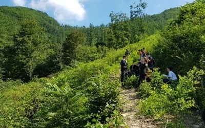 조은누리 양, 어머니와 등산로 엇갈려 실종됐었을 가능성 커