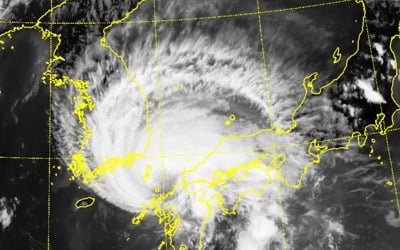 태풍 '프란시스코' 대마도 근접…오늘 밤 거제·부산 상륙