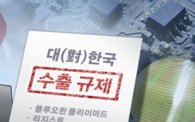 日규제 맞설 M&A 금융협의체 이달 말 출범…글로벌 IB도 참여