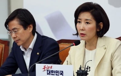 여야, 나경원 '우리 일본' 발언에 "국민 공분 이유 돌이켜봐야"