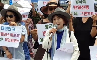 '아베에 사죄' 주옥순 "文정부 한일협정 어겨"…'매국노' 비판