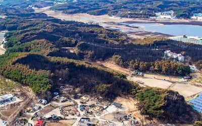 속초·고성산불 산림피해 이재민 비대위 구성