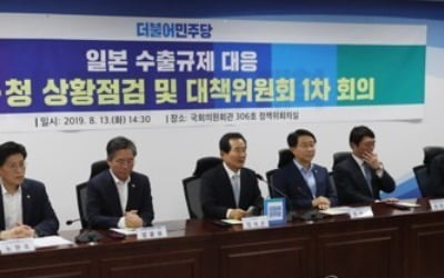 당정청 日수출규제대책위 "제도개선 신속 추진할 관제탑 될것"