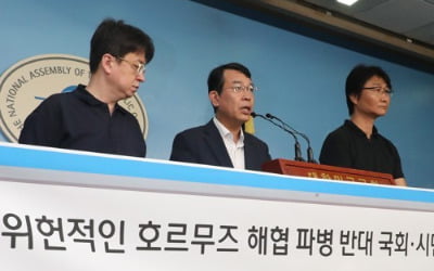 "국회 동의 없는 호르무즈 해협 파병은 위헌…국제평화 위협"