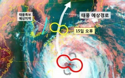 태풍 '크로사' 내일 새벽 동해안·남해안 영향…대책본부 가동