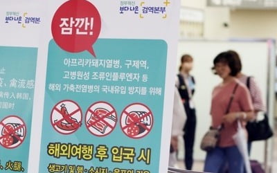 필리핀에서도 돼지열병 발생?…"여러 곳에서 폐사, 역학조사"