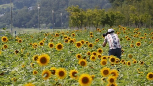 사진=연합뉴스