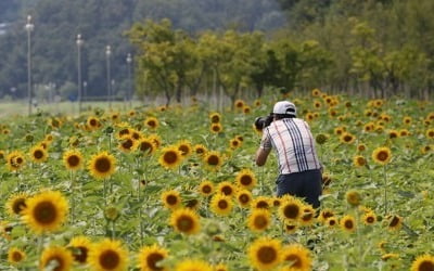 무더위 끝났다…오늘 비 내리고 폭염특보 모두 해제