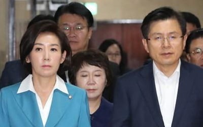 나경원 "정개특위, 긴급 안건조정위 추진…선거법 표결 저지"