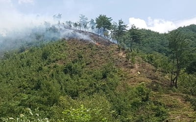 횡성 야산서 불…1시간 만에 진화