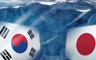 日백색국가 제외 시행 D-1…추가 규제 주시하며 내부 다지기