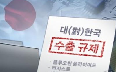 "한달 지연에 매출 34억원↓"…수출급감에 日불화수소업체 울상