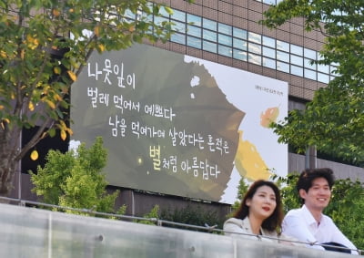 "나뭇잎이 벌레 먹어서 예쁘다"