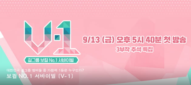 예능 프로그램 'V1'/ 사진=tvN 'V1' 홈페이지