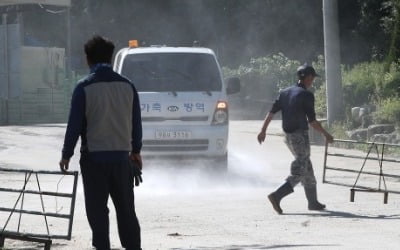 아프리카돼지열병 국내 첫 발생…삼겹살 다시 '金겹살' 되나