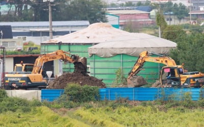 아시아 전역서 아프리카돼지열병 발생…전세계 돈육값 '들썩'