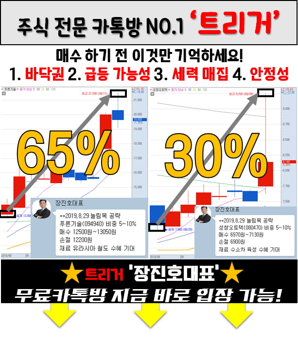 초보를 위한 매집 종목 전격 공개!