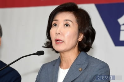 나경원 AFP 기사, 무엇이길래? '아들 특혜 의혹 보도'