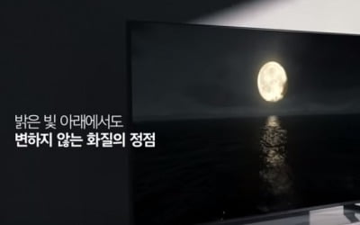 삼성 QLED TV '공정위 신고'한 LG…벼랑 끝 치닫는 '광고 디스전'