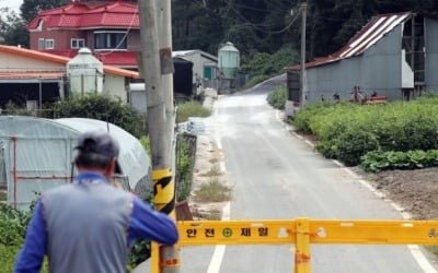 인천 강화서 아프리카돼지열병 의심 사례 또 발생