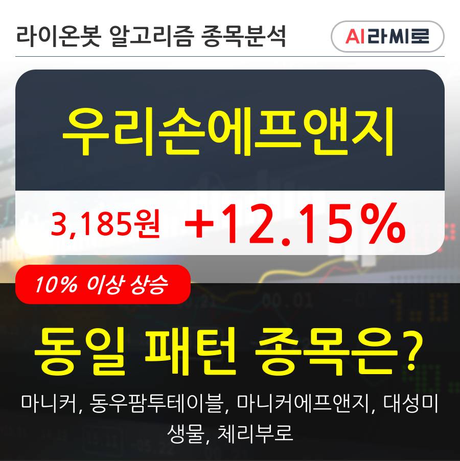 우리손에프앤지