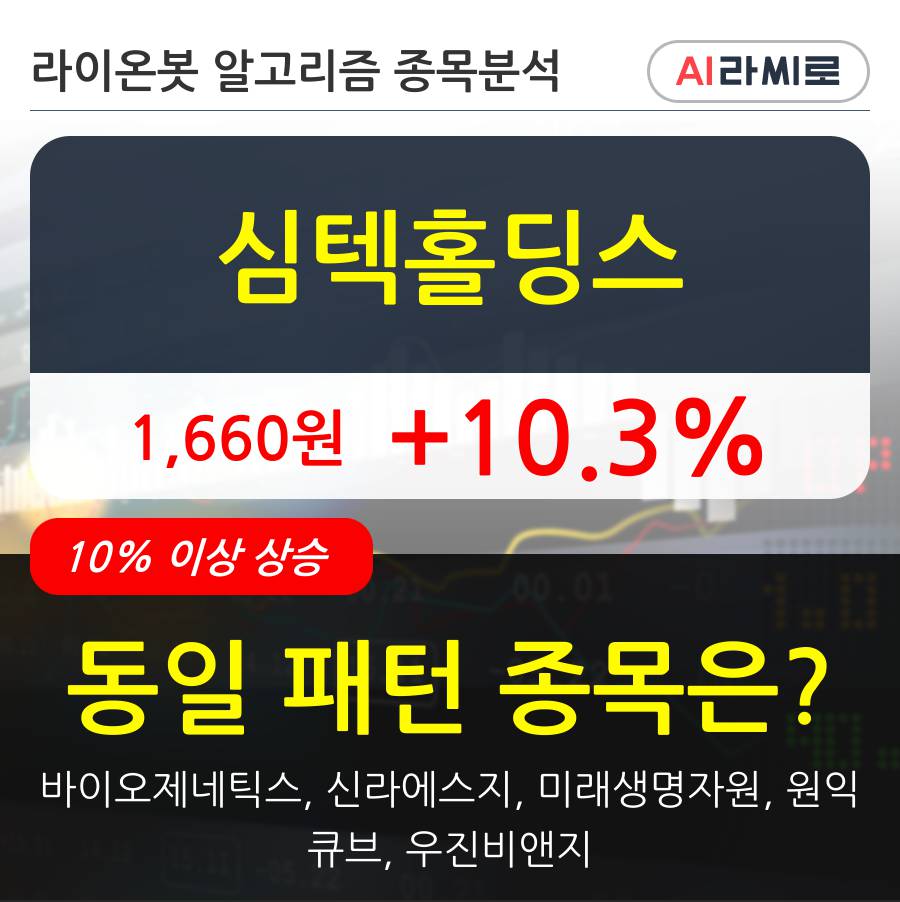 심텍홀딩스