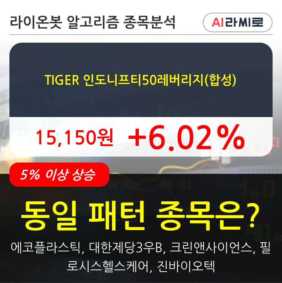 TIGER 인도니프티50레버리지(합성)