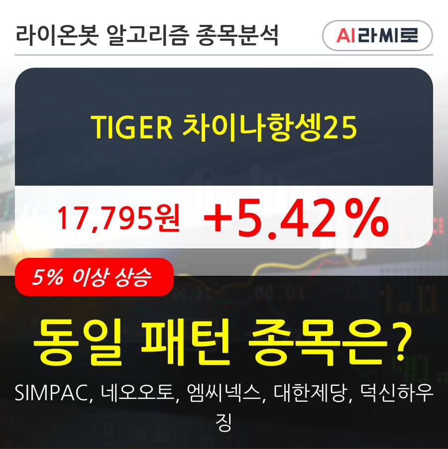 TIGER 차이나항셍25