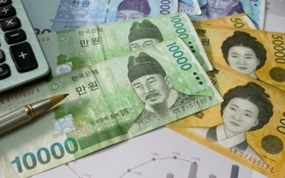 한국 원화, 글로벌 'TOP10' 화폐 눈앞…세계 외환시장에서 거래비중 12위