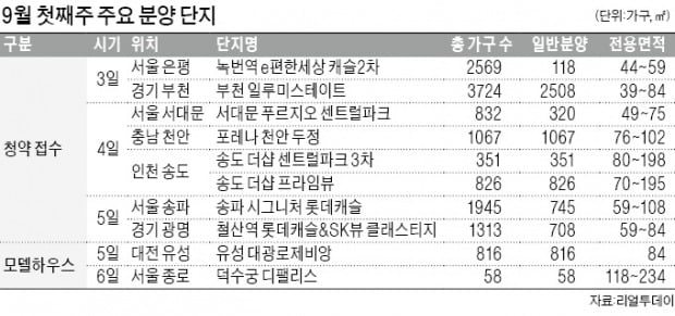 서울·광명 모델하우스에 10만 인파 '북적'