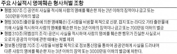 "진실의 입까지 틀어막는 것은 표현의 자유 과도한 제한"