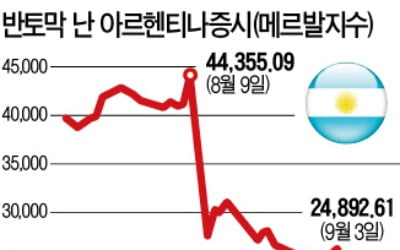 아르헨티나, 환율 방어 안간힘…증시는 폭락