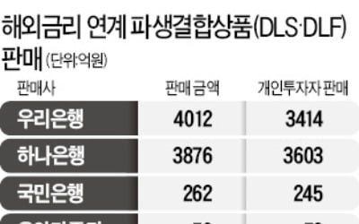 금리 연계 DLF 금감원 검사에 운용사 '볼멘소리'