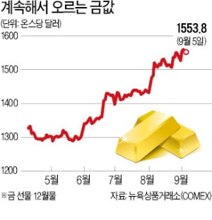 金·엔화 등 안전자산 돈 몰리고 부동산시장 거품 키울 우려 커