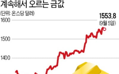 金·엔화 등 안전자산 돈 몰리고 부동산시장 거품 키울 우려 커