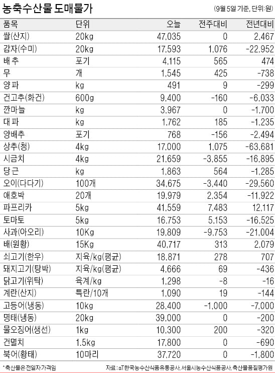 이른 추석…제수용 배값 ↑