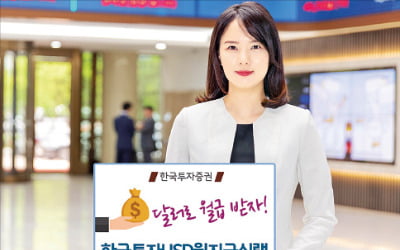 한국투자증권 '한국투자USD월지급식랩', 美 고배당 자산에 투자…수익을 달러로 지급