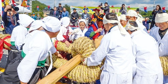 삼계줄다리기  봉화군청 제공 