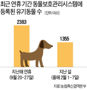 "절 버리지 마세요"…명절이 두려운 반려견