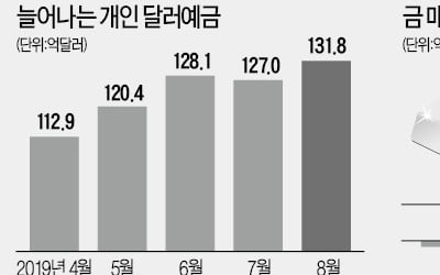 안전자산에 몰리는 개인…달러예금 17개월來 '최대'